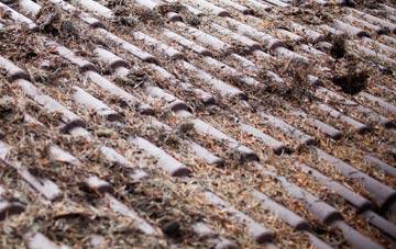 Woodcock roof cleaning companies