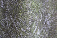 Woodcock fibreglass roof work